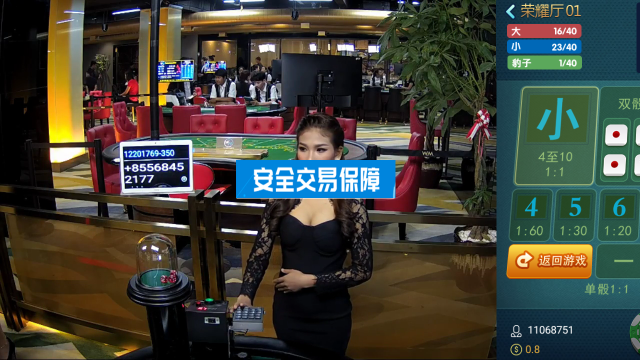 微星真人视讯组件，4个组件以及支付接口